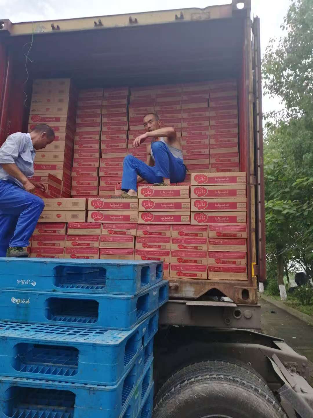 Container loading Tanza kidney beans