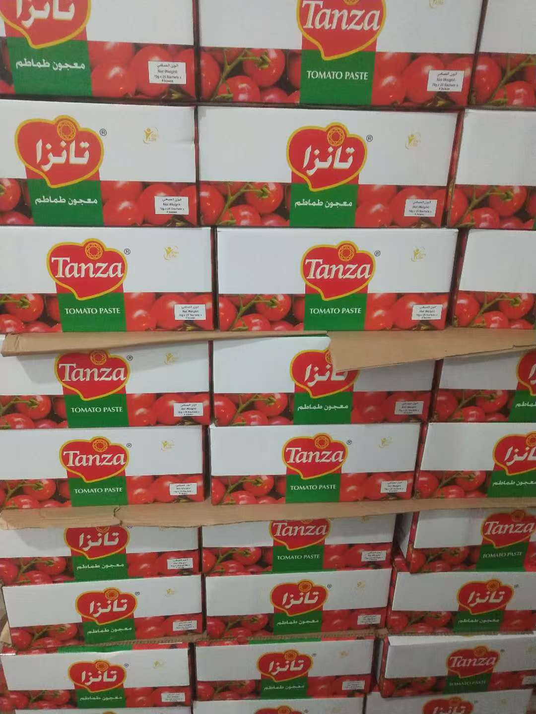 Tanza tomato paste export boxes