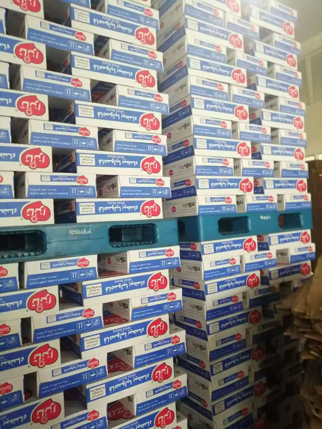 Tanza white beans export boxes